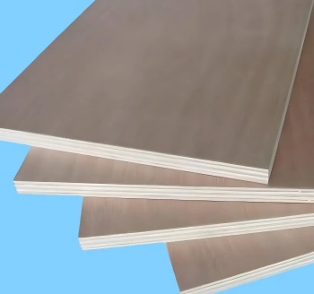 Premium Wood Solutions: Direkt ab Werk & OEM-Experte